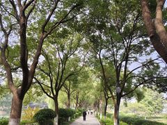 -金银湖国家城市湿地公园