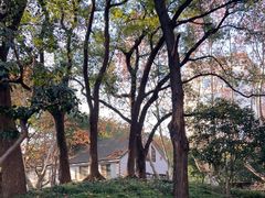 -徐家汇源景区-衡山公园