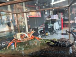 -周忆刺青原创设计定制