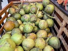 -墨脱石锅椰子鸡•香草鸭•东山羊(大东海店)