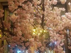 -御池园(顾村公园店)