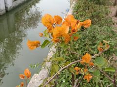 -海珠湖公园