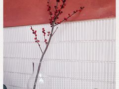 -Toris(LuOne凯德晶萃广场店)