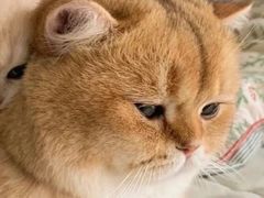 -极客修手机维修·电脑维修·家电维修清洗(五一广场店)