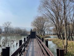 -长兴太湖图影湿地文化园