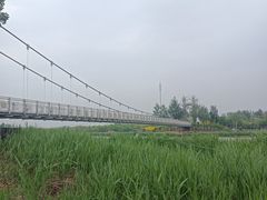 -西青郊野公园