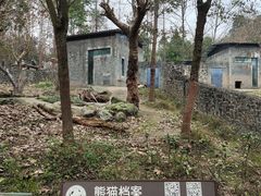 -都江堰中华大熊猫苑