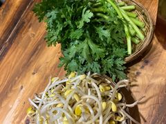-阳阳老火锅(小南门店)