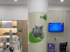 -佩兹宠物医院肿瘤专科·眼科·牙科(黄浦店)