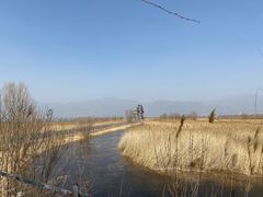 -野鸭湖国家湿地公园