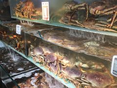 -超级物种(省府店)