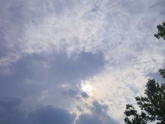 -瑶湖湿地自然保护区