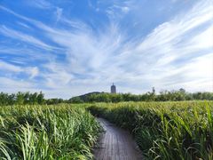 -永定河休闲森林公园