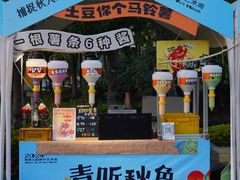 -青枫公园