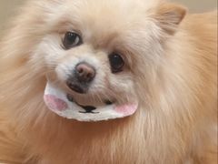 -和它·交个朋友·狗咖猫咖(爱琴海店)