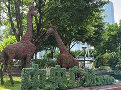 -重庆市江北嘴中央商务区中央公园