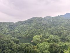 -鼎湖山风景区