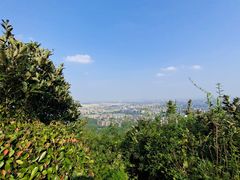 -杭州半山国家森林公园