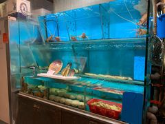 -鲜入围煮花胶鸡海鲜火锅