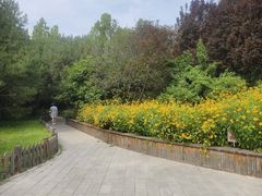 -莲花池公园