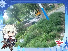-美尚美鲜花(浦东店)
