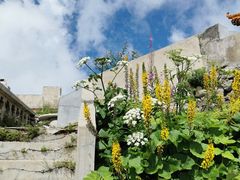 -白草畔自然风景区