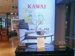 -柏斯音乐艺术中心·钢琴·吉他(世纪金源店)