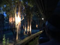 -清迈夜间动物园