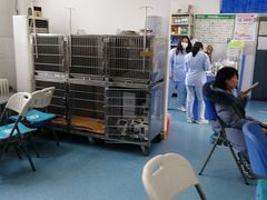 -北京赛佳动物医院