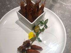 十年花雕醉沼虾-木守西溪溪隐餐厅