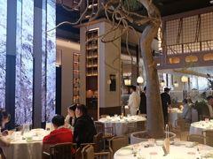 -桂满陇·海市蜃楼·黑金(国金店)