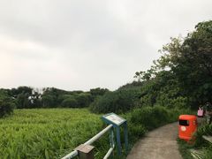 -南丫岛