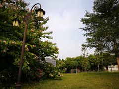 -福建师范大学(仓山校区)
