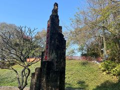 -王借岗森林公园