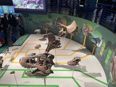 -国家自然博物馆