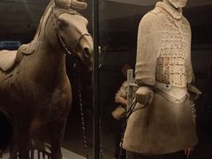 -秦始皇帝陵博物院-丽山园