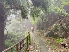 -东天目山风景区
