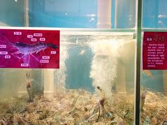 -钳真多钓虾馆·小龙虾海鲜烧烤(九六广场店)