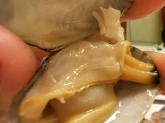 -宾朋海鲜饭庄(兴海路店)