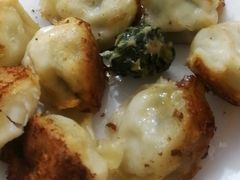 -山东水饺(南坪新街店)