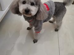 -宠福鑫康馨动物医院·骨科·眼科