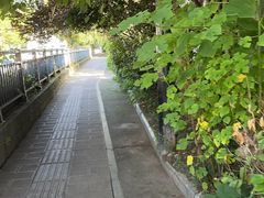 -八卦田遗址公园