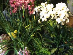 大堂-春暖花开(西溪店)