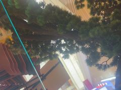 -蛙小侠(亚欧商厦店)