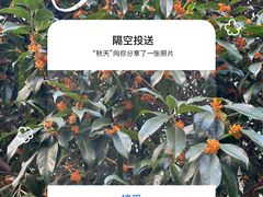 -桂林公园(地铁站)