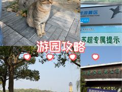 -溱湖国家湿地公园