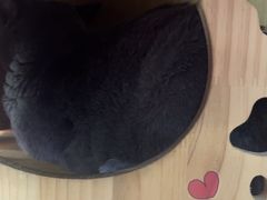 -203密室体验馆·逃脱·聚会·亲子(工体店)