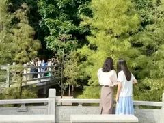 -广州市帽峰山景区