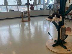 -共舞时光猫咖·狗咖(新街口店)