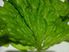 -韩红石板肉(范西路店)